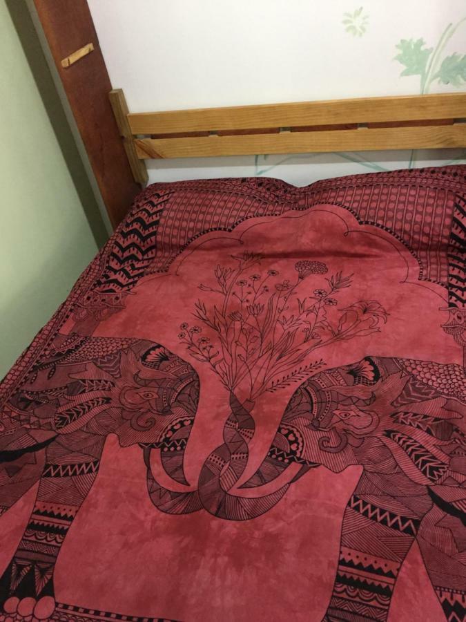 Hostel Mueller Na Praia De Mocambique フロリアノポリス エクステリア 写真