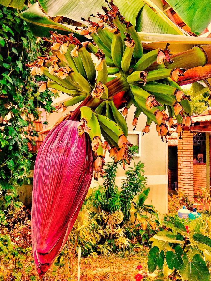 Hostel Mueller Na Praia De Mocambique フロリアノポリス エクステリア 写真